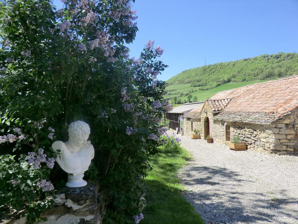 Domaine D'Alcapies Bed & Breakfast Saint-Jean-d'Alcapies Luaran gambar
