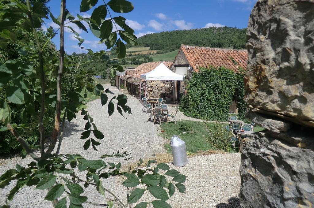 Domaine D'Alcapies Bed & Breakfast Saint-Jean-d'Alcapies Luaran gambar
