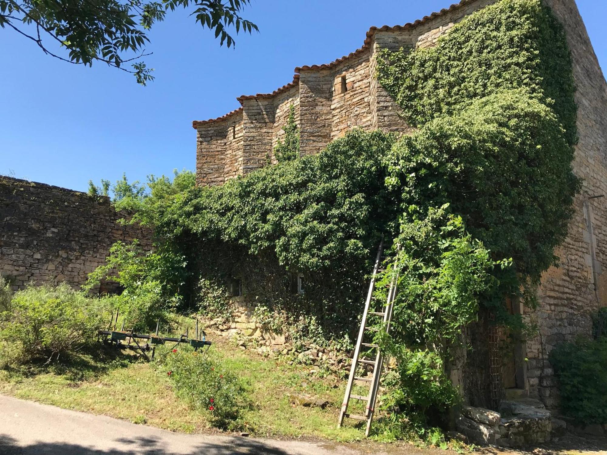 Domaine D'Alcapies Bed & Breakfast Saint-Jean-d'Alcapies Luaran gambar